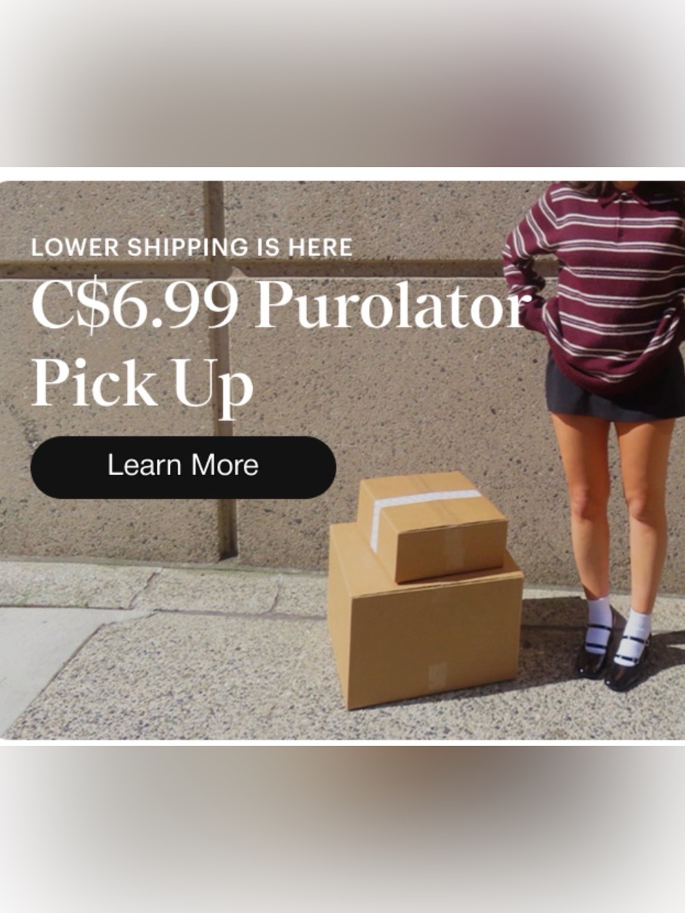 $6.99 shipping on all items !!
